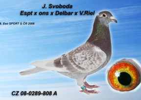 Pre zv��enie klikni na obr�zok